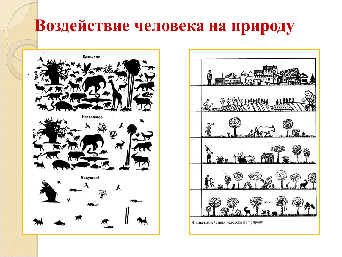 Этапы влияния. Эволюция воздействия человека на природу. Этапы воздействия человека на природу. Исторические этапы воздействия человека на природу. Влияние человека на природу в разные исторические эпохи.