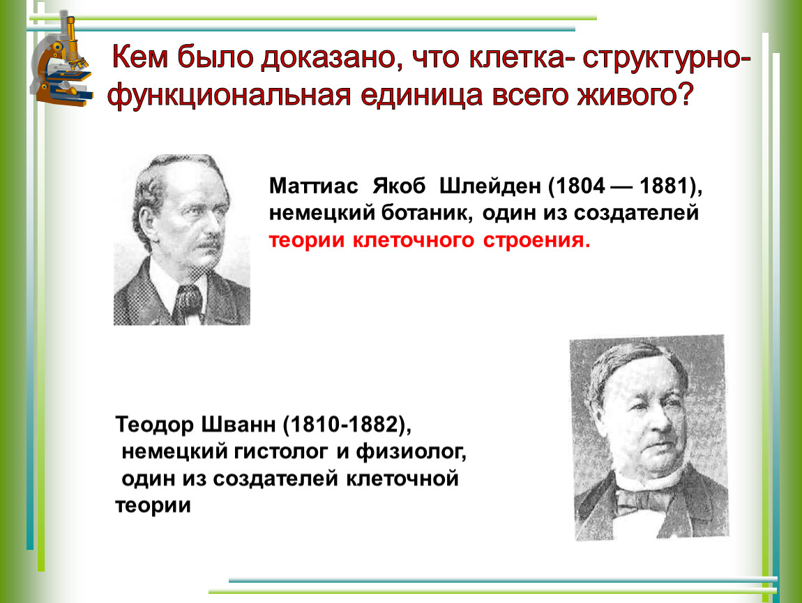 Клеточную теорию сформулировали. Маттиас Якоб Шлейден клеточная теория. Вклад в изучение клетки Шлейден и Шванн. Шлейден и Шванн создатели клеточной теории. Шлейден вклад в клеточную теорию.