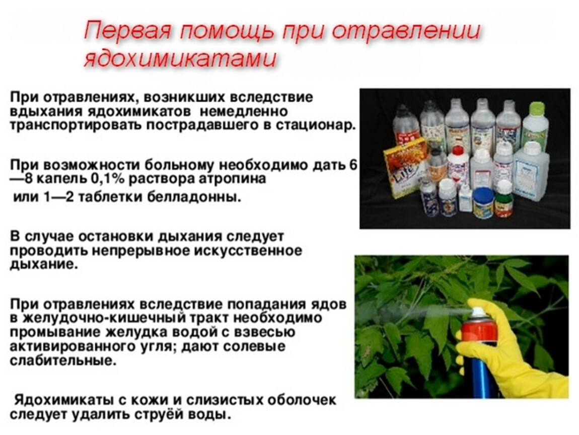 Правила обращения с пестицидами. Первая помощь при отравлении химическими веществами. Перотравлении ядохимикатами. Первая помощь при отравлении ядохимикатами. Отравление пестицидами.