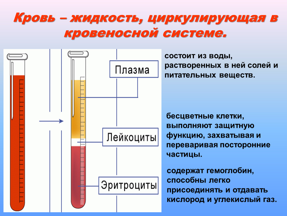 Жидкость циркулирует