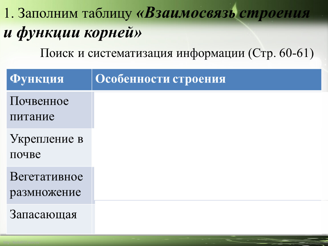 Функция Особенности строения Почвенное питание