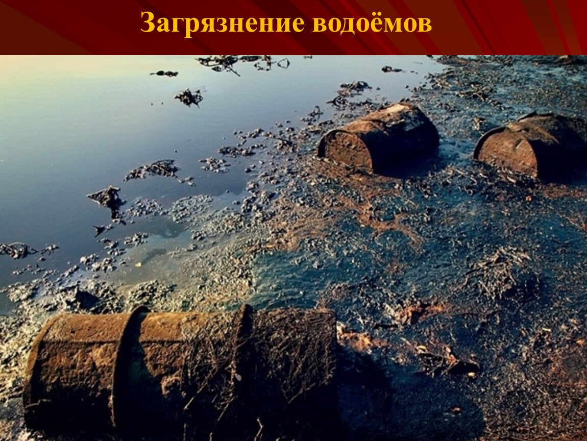 Дзержинск загрязненное озеро