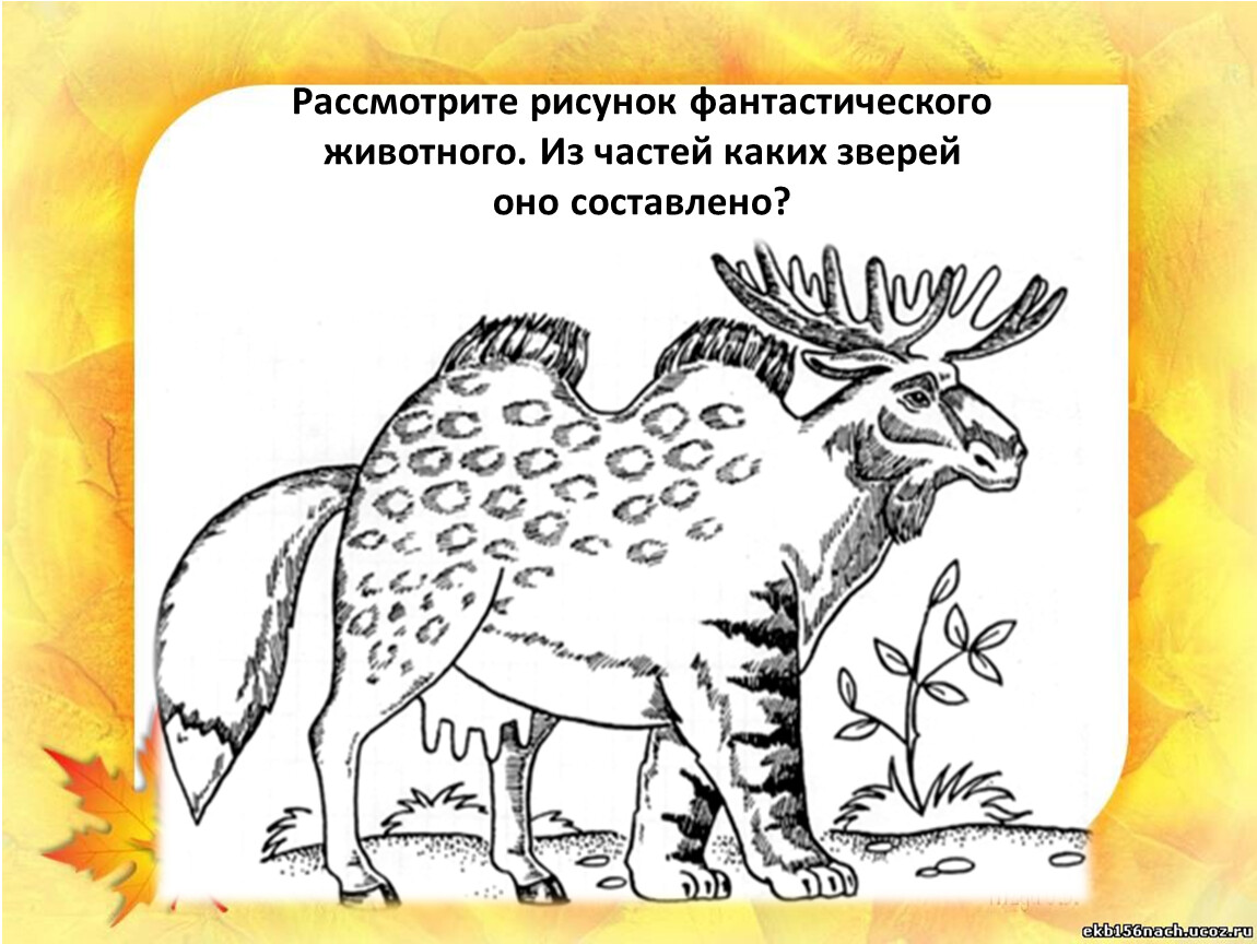 Рисунок фантастическое животное 1 класс