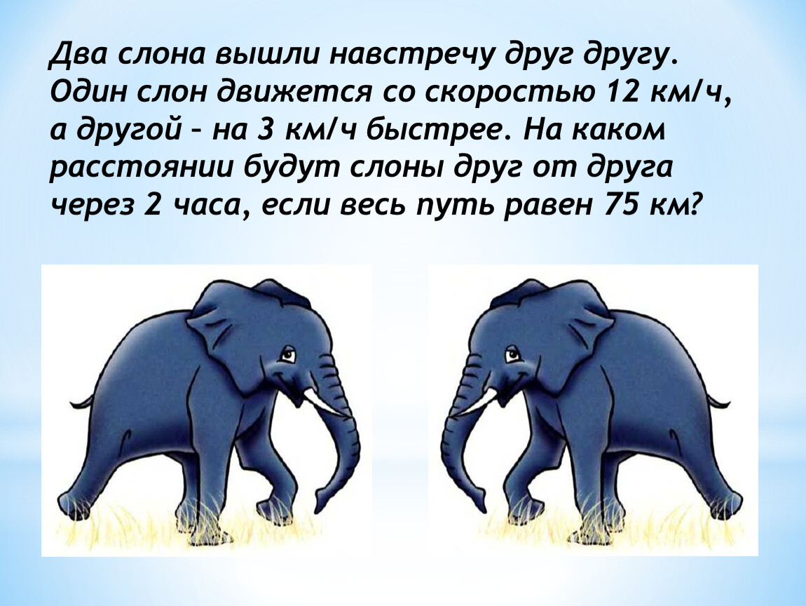 Окончание слова слонов. Слон навстречу другу. Слон и-2. Два слона. Друг слон.