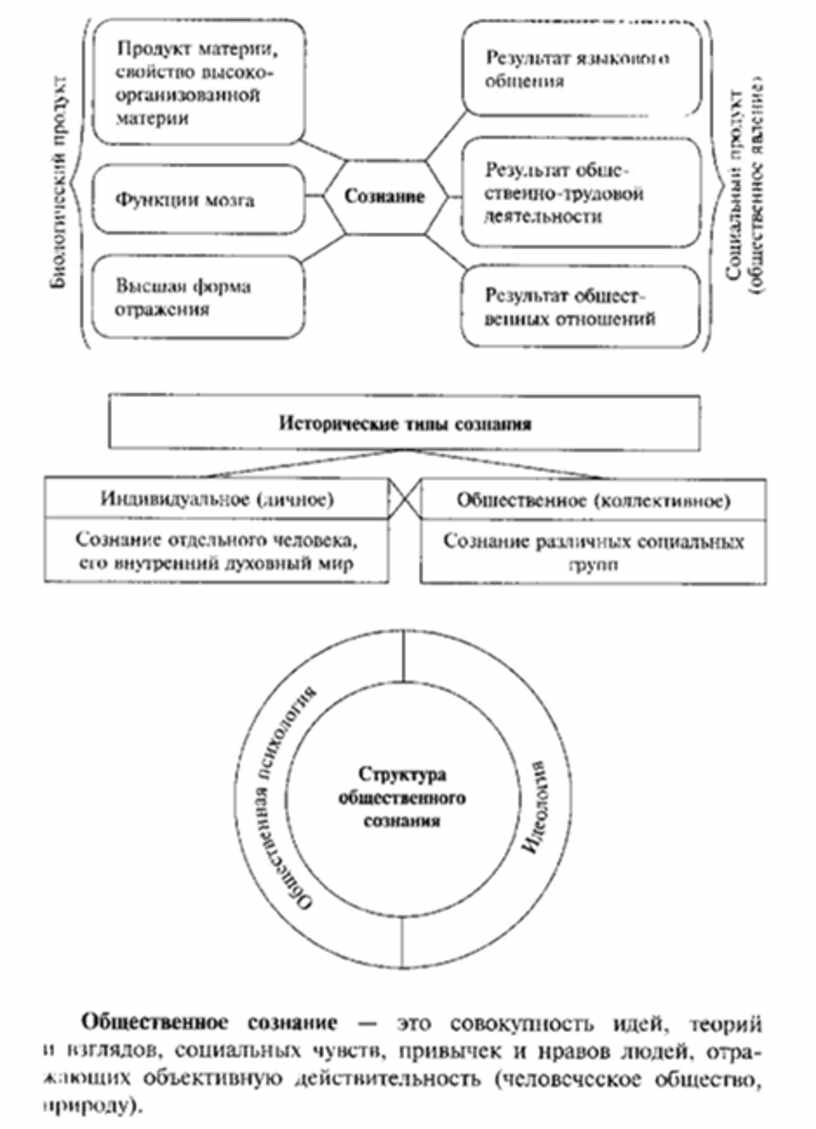 Лебедева обществознание в схемах и таблицах