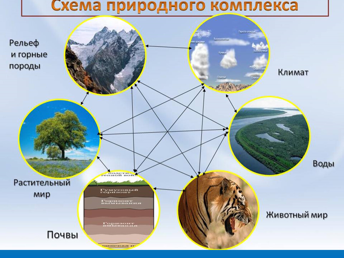 Схема по географии россии