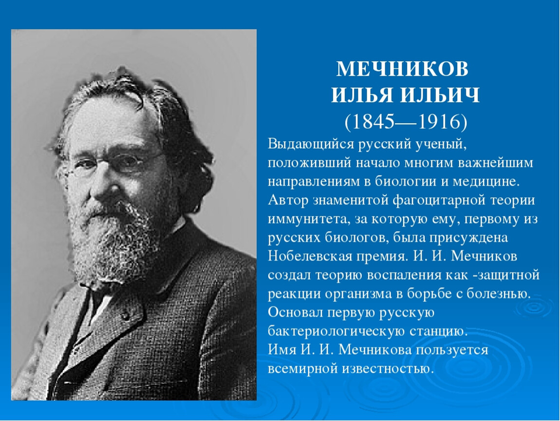 Деятельность любого ученого. Мечников и.и. (1845-1916).