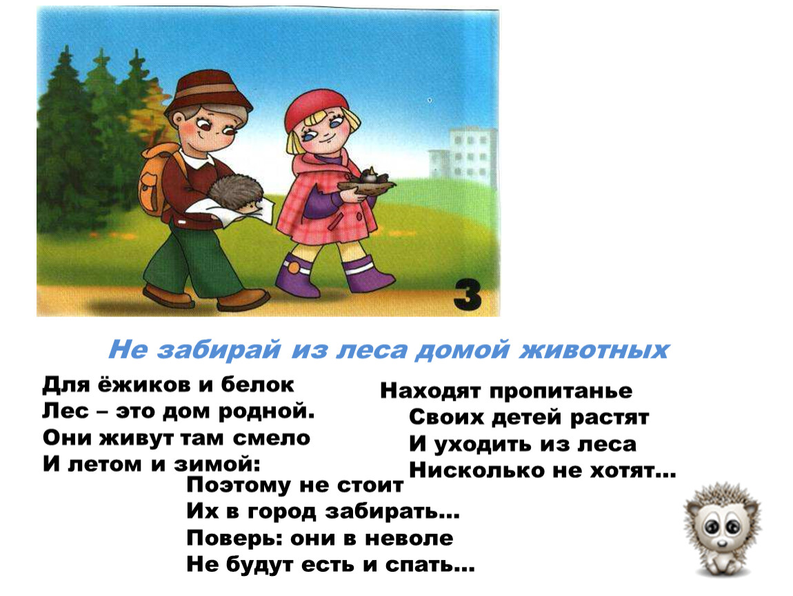 Презентация на тему: 