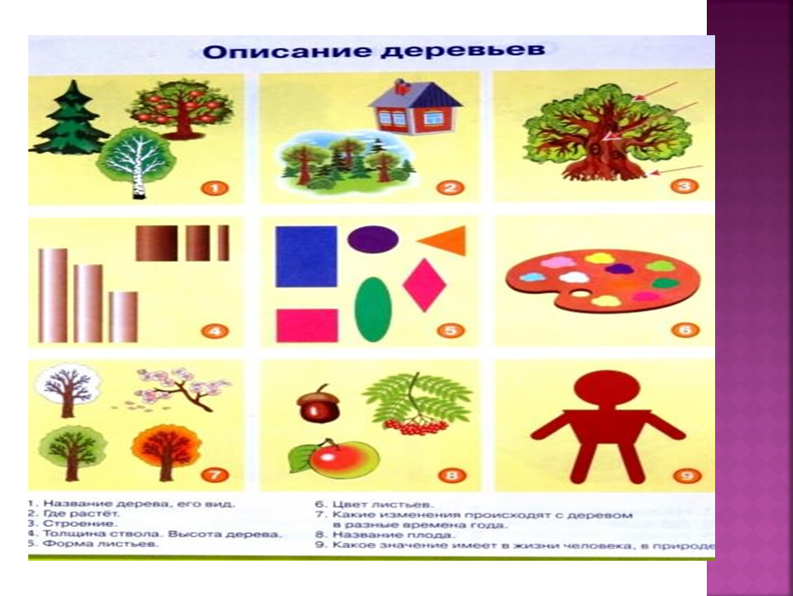 Мнемотехника--это система методов и приёмов, обеспечивающих успешное  освоение детьми знаний об особенностях объектов при