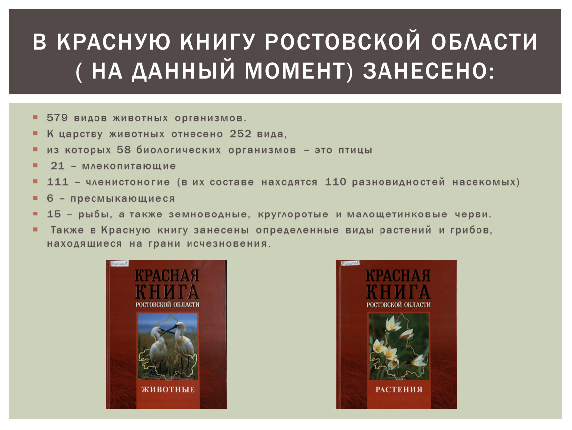 Презентация на тему животные красной книги ростовской области