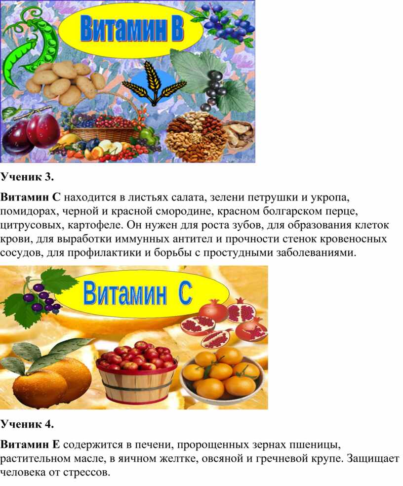 Ученик 3. Витамин С находится в листьях салата, зелени петрушки и укропа, помидорах, черной и красной смородине, красном болгарском перце, цитрусовых, картофеле