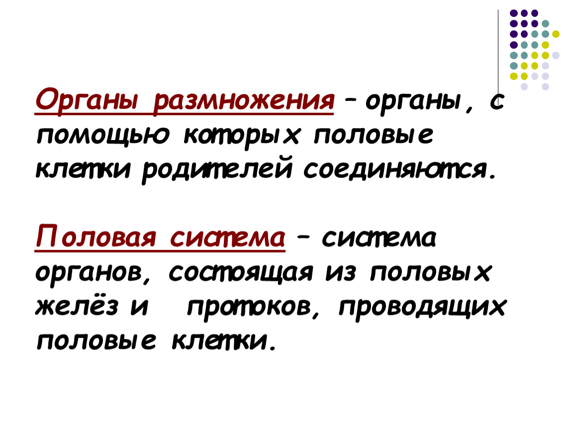 Род органы. Органы размножения органы с помощью которых. Продление рода органы размножения 7 класс конспект. Половые клетки родителей. Какие органы соединяют половые клетки родителей.