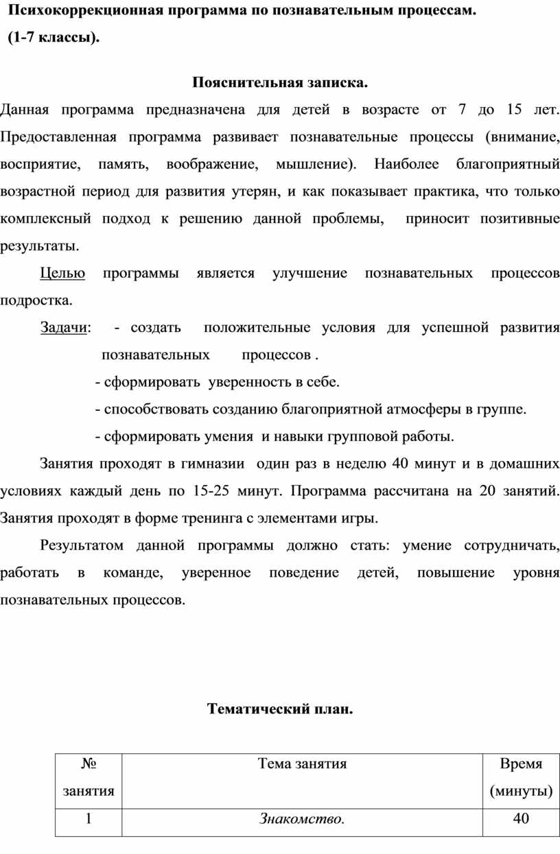 Психокоррекционная программа по познавательным процессам.