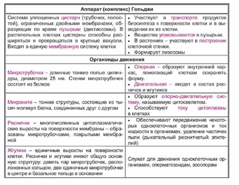 Образует органоиды. Органоиды движения строение и функции таблица. Органоиды движения таблица 10 класс. Особенности строения органоидов движения. Органоиды движения строение и функции.