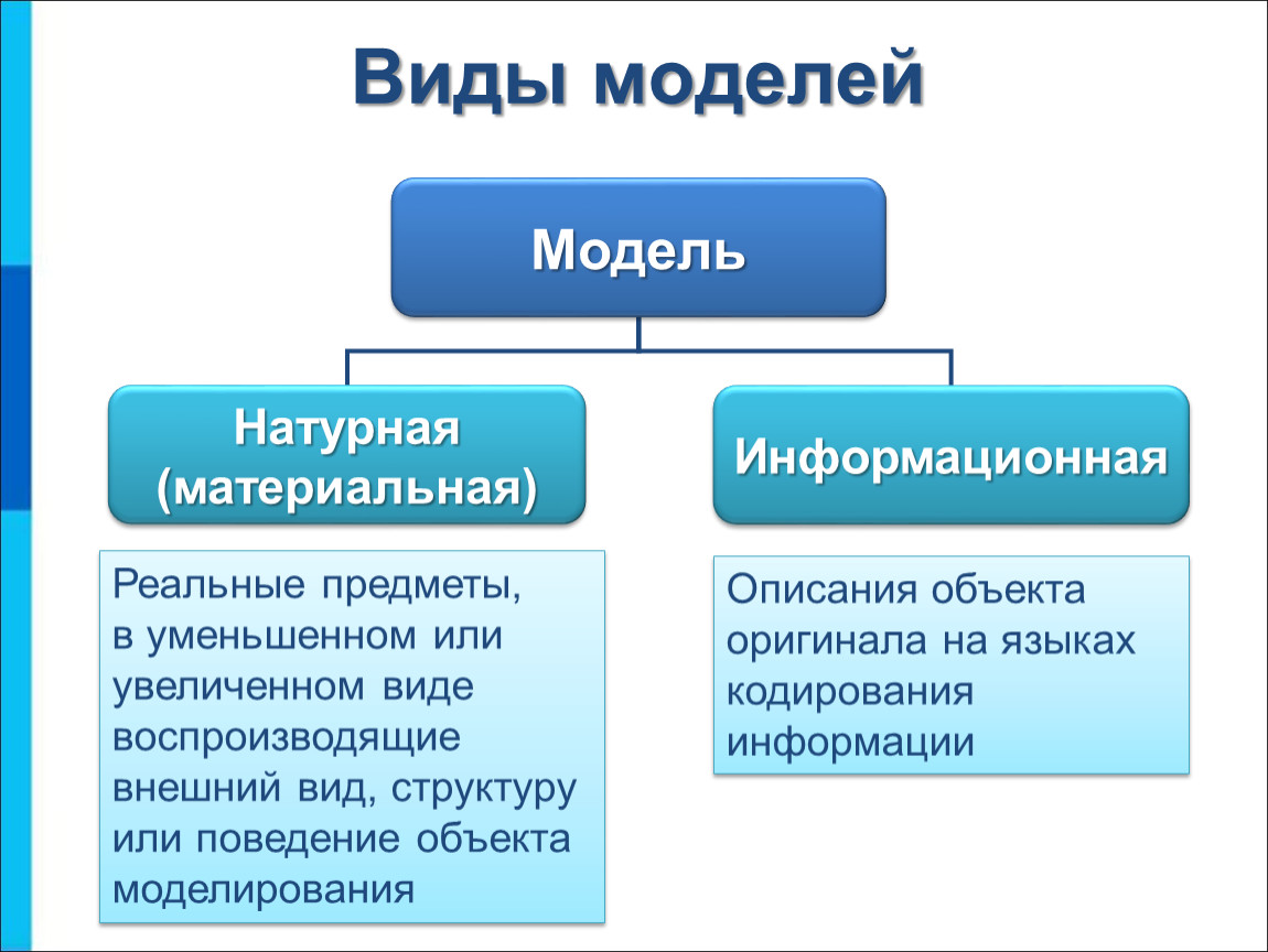 Какие модели называют. Виды моделей. Веды модели в информатике. Виды моделей в информатике. Натурная материальная модель.