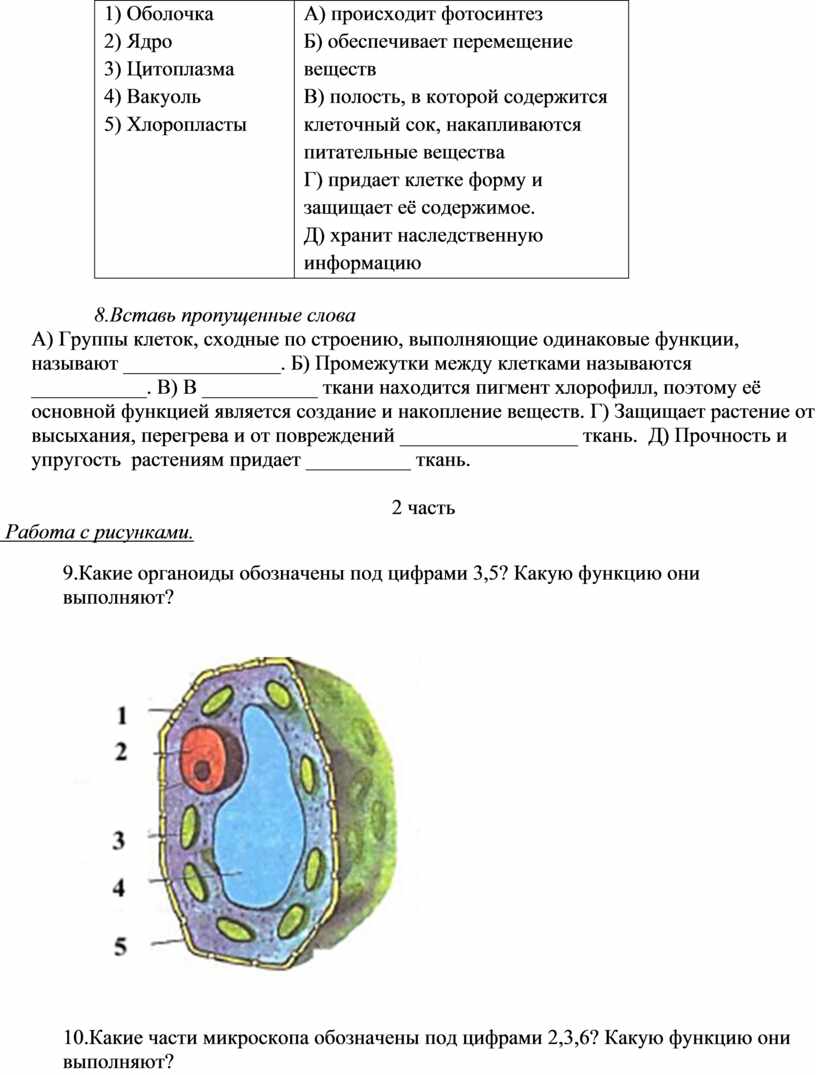 Контрольно-измерительные материалы по биологии 5-7 класс