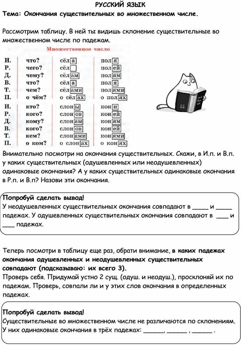 Данные имена существительные записать во множественном числе стул крыло