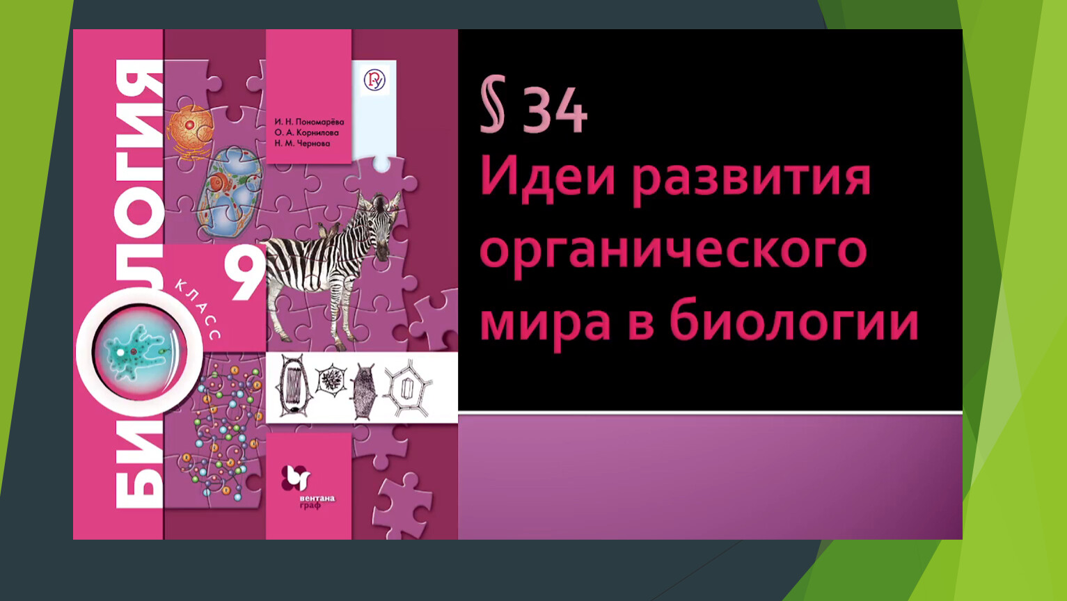 Биология 9 класс параграф 34 презентация