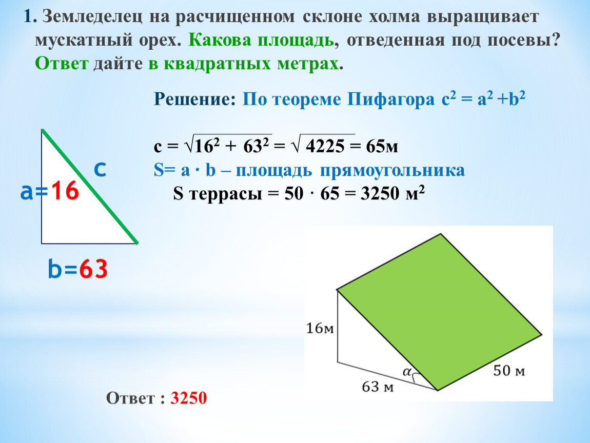 Какова площадь участка