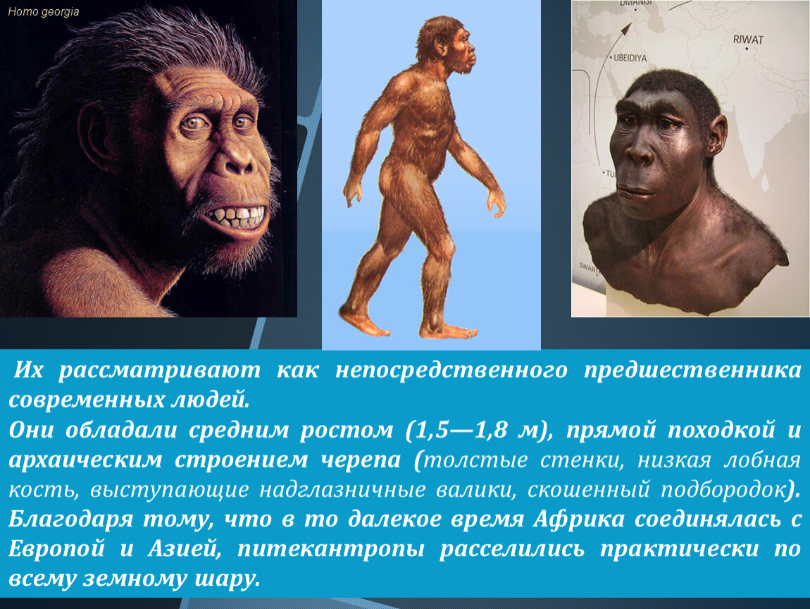 Биологии 5 класс как появился человек. Первые люди появились. Как появился первый человек. Откуда появились люди на земле. Как появился человек на земле.