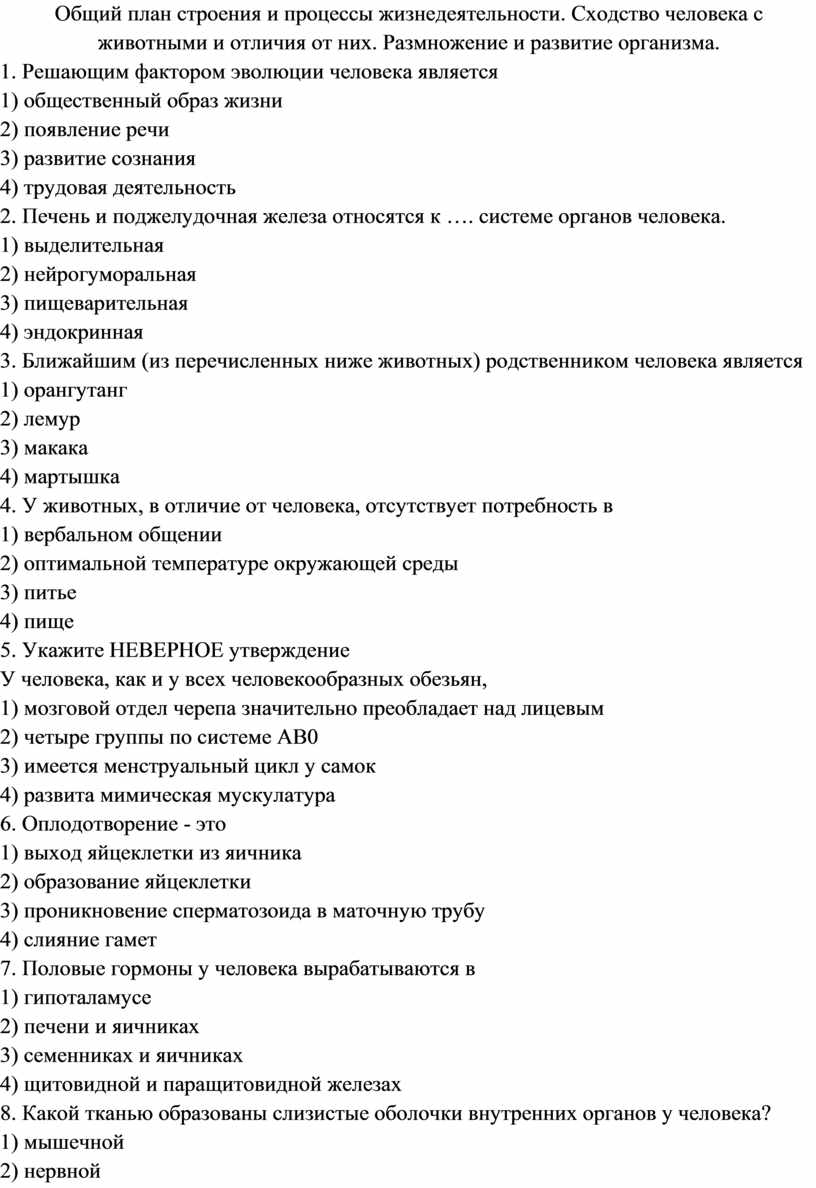 Общий план строения и процессы жизнедеятельности человека