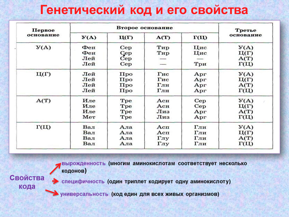 Один кодон кодирует несколько аминокислот. Биосинтез белка таблица генетического кода. Свойства генетического кода биология таблица. Биосинтез белка генетический код и его свойства. Генетический код (кодоны), Биосинтез белка..