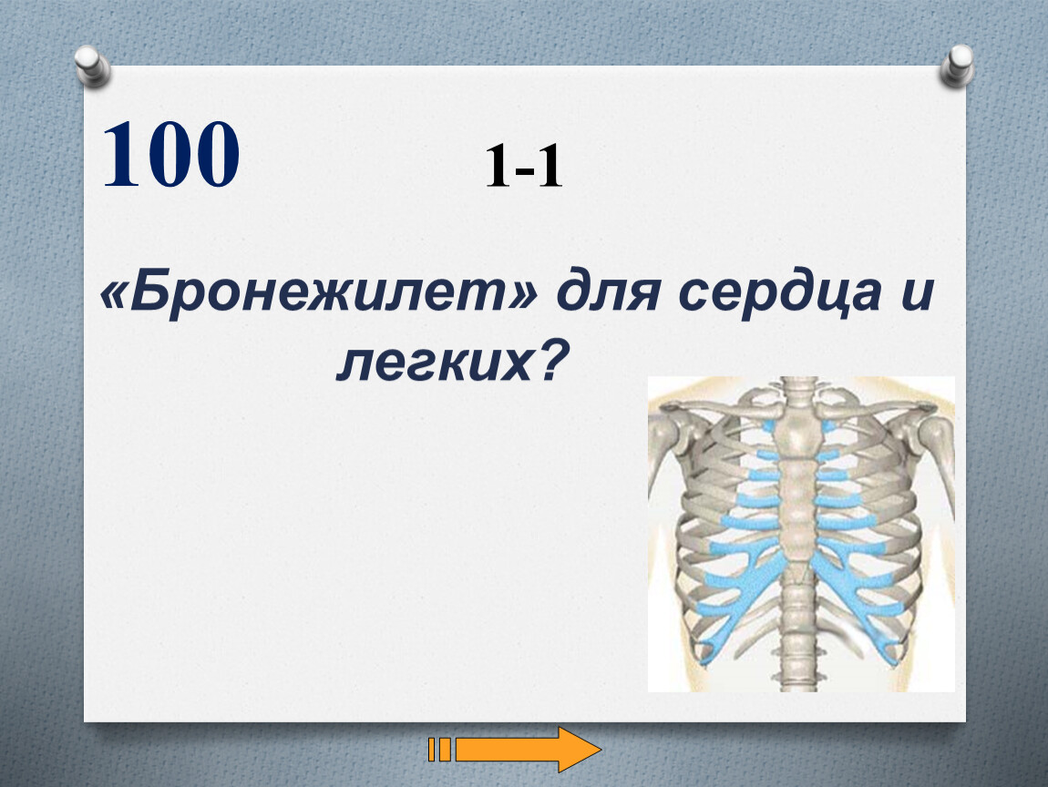 Презентация к обобщающему уроку по теме 