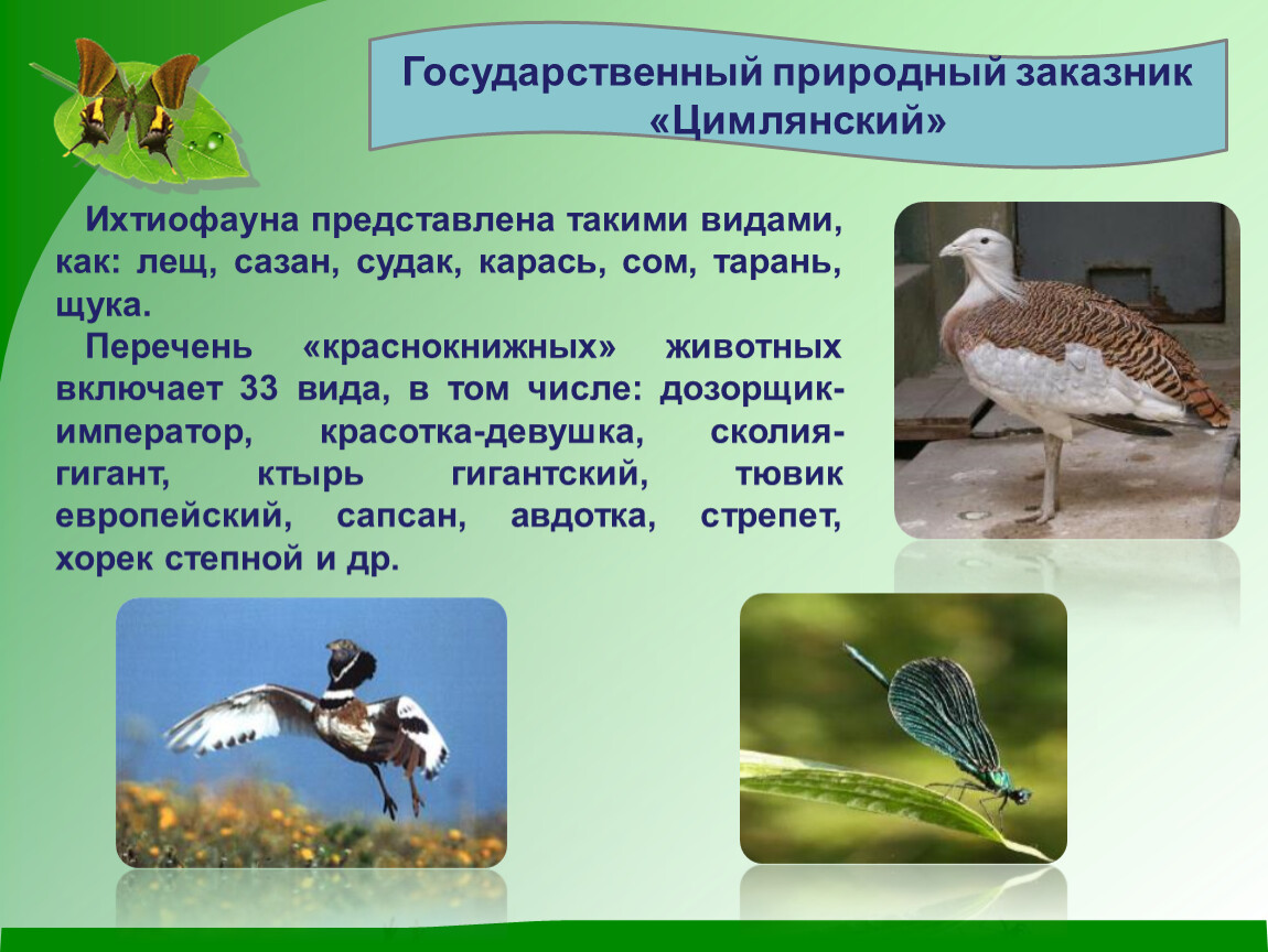 Охраняемые территории ростовской области. Особо охраняемые природные территории Ростовской области.