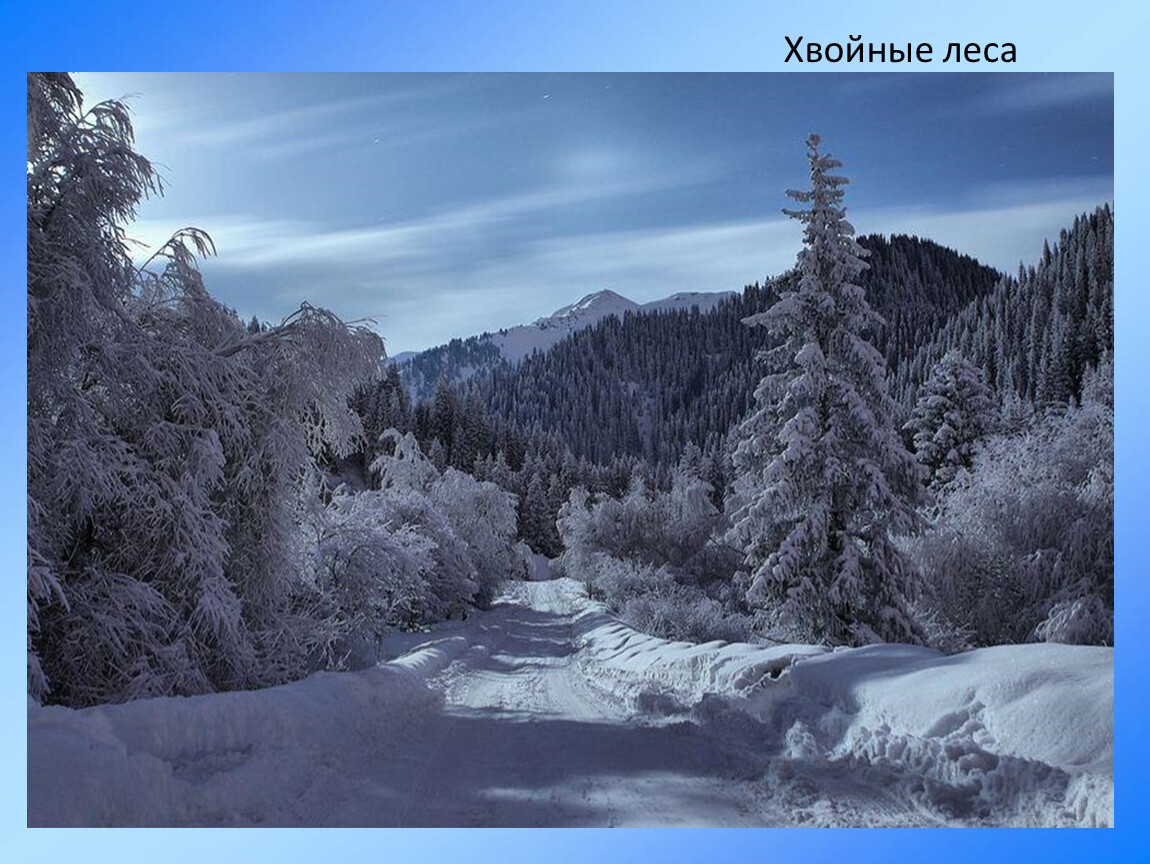Rising road. Восточный Казахстан зима. Казахстан природа зимой. Горы восточного Казахстана зимой. Северный Казахстан зима.