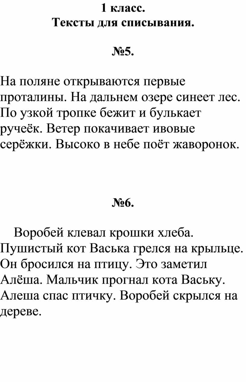 Контрольное списывание 1 класс презентация