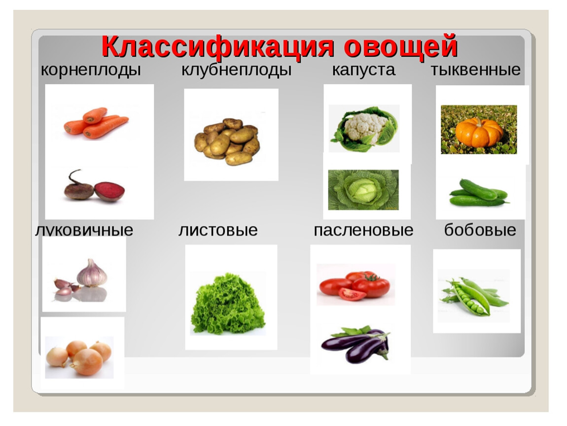 Презентация на тему овощи в питании человека 5 класс