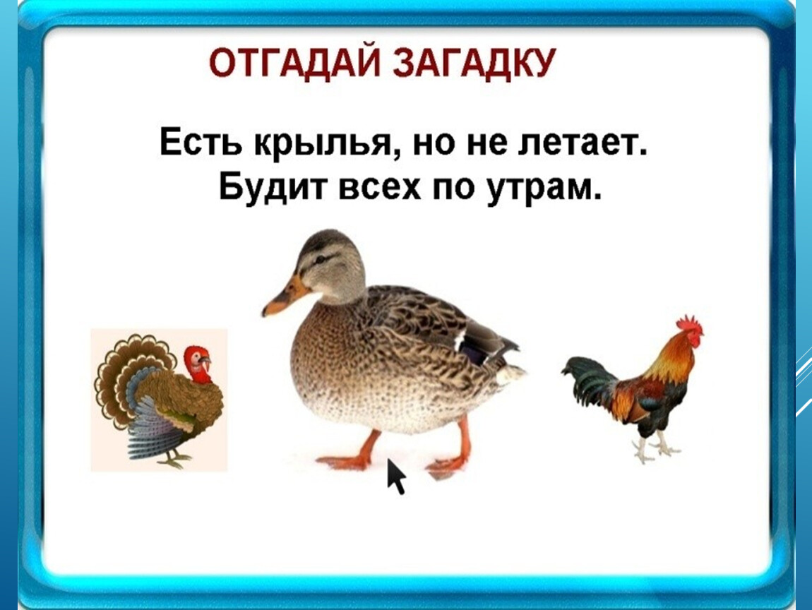 Видео-презентация по дисциплине Информационные технологии в специальном  образовании 