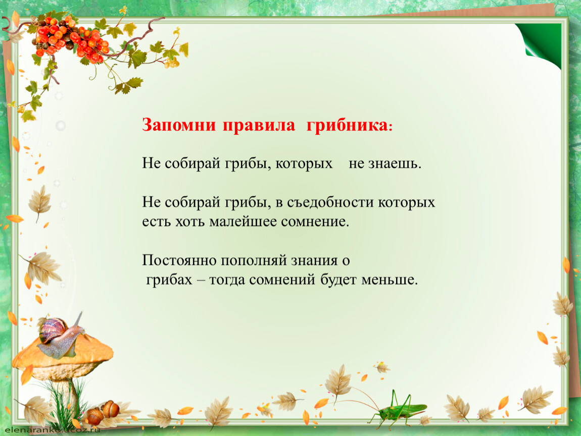 Доклад по окружающему миру 2 класс. Не знаешь гриб правило грибника. Правила грибника. Золотое правило грибника не знаешь гриб. Золотое правило грибника.