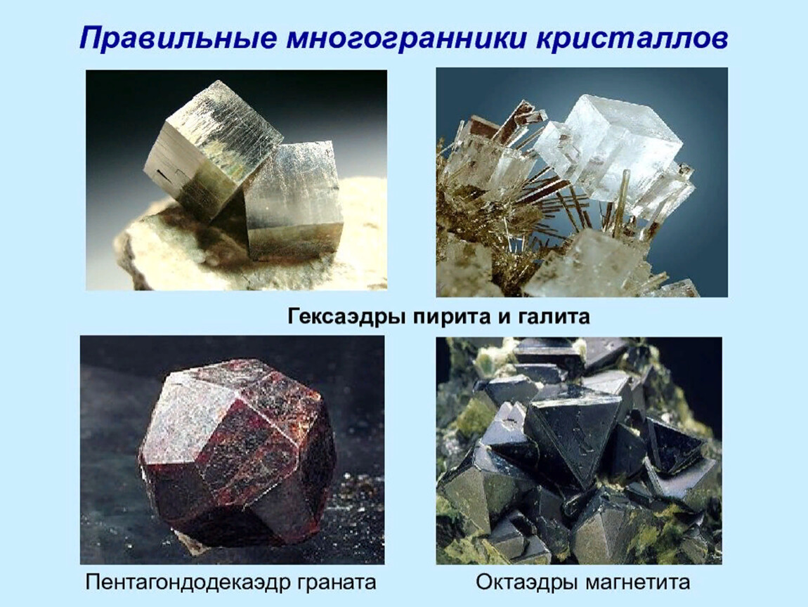 Правильные многогранники в жизни презентация