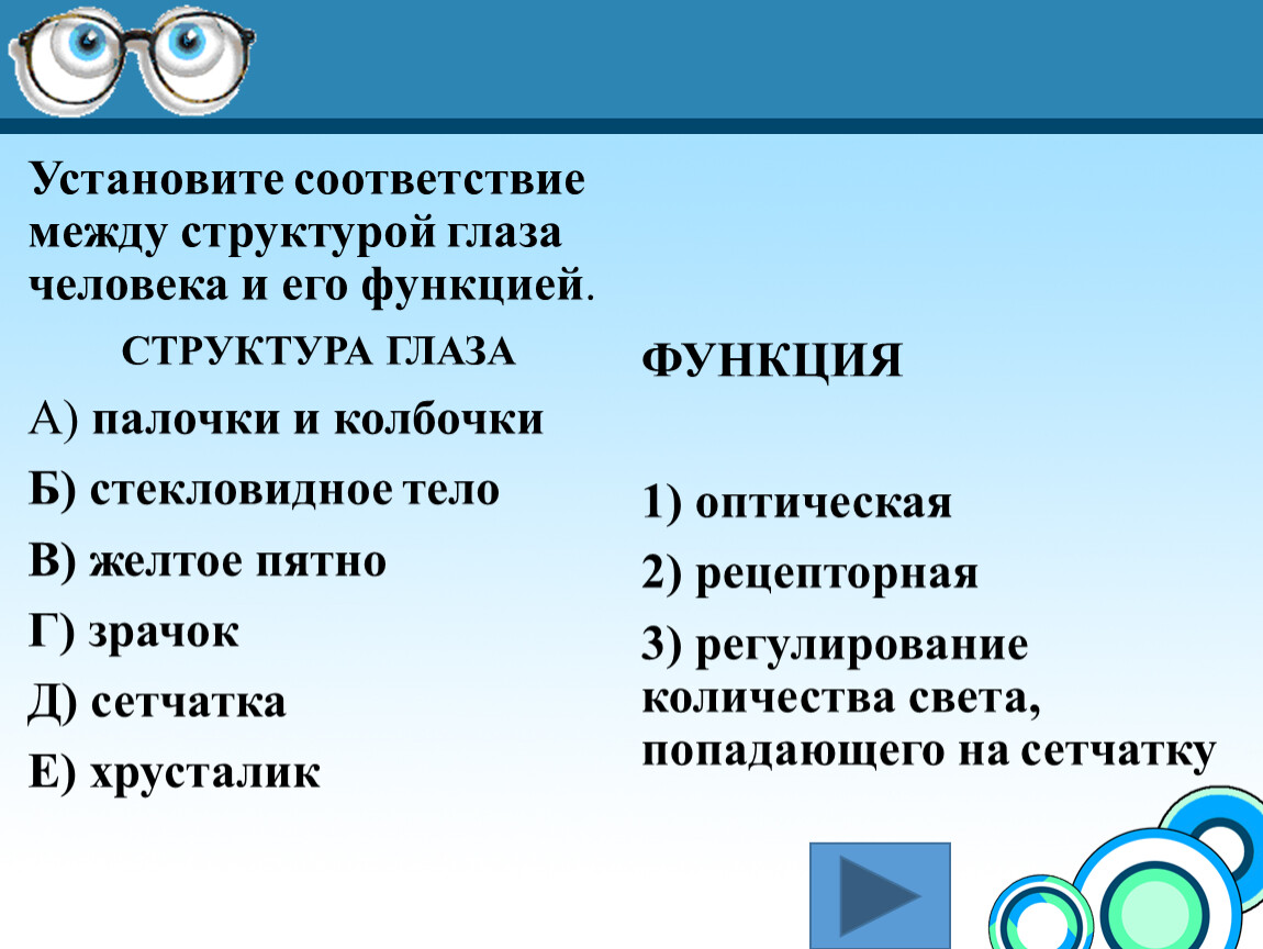 Установите соответствие между оболочками глаза. Установите характеристики между оболочками глаза. Установите на рисунке цифру которой обозначается глаз и запишите ее.