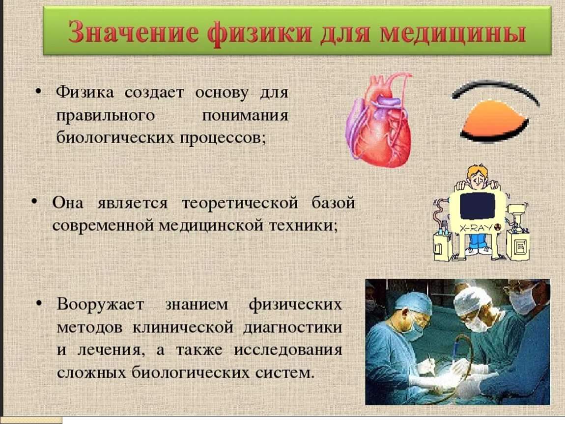 Физика и биология презентация