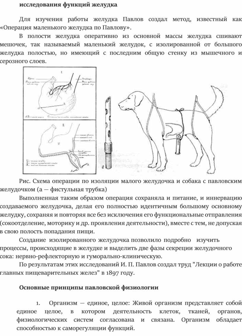 Работы И. П. Павлова