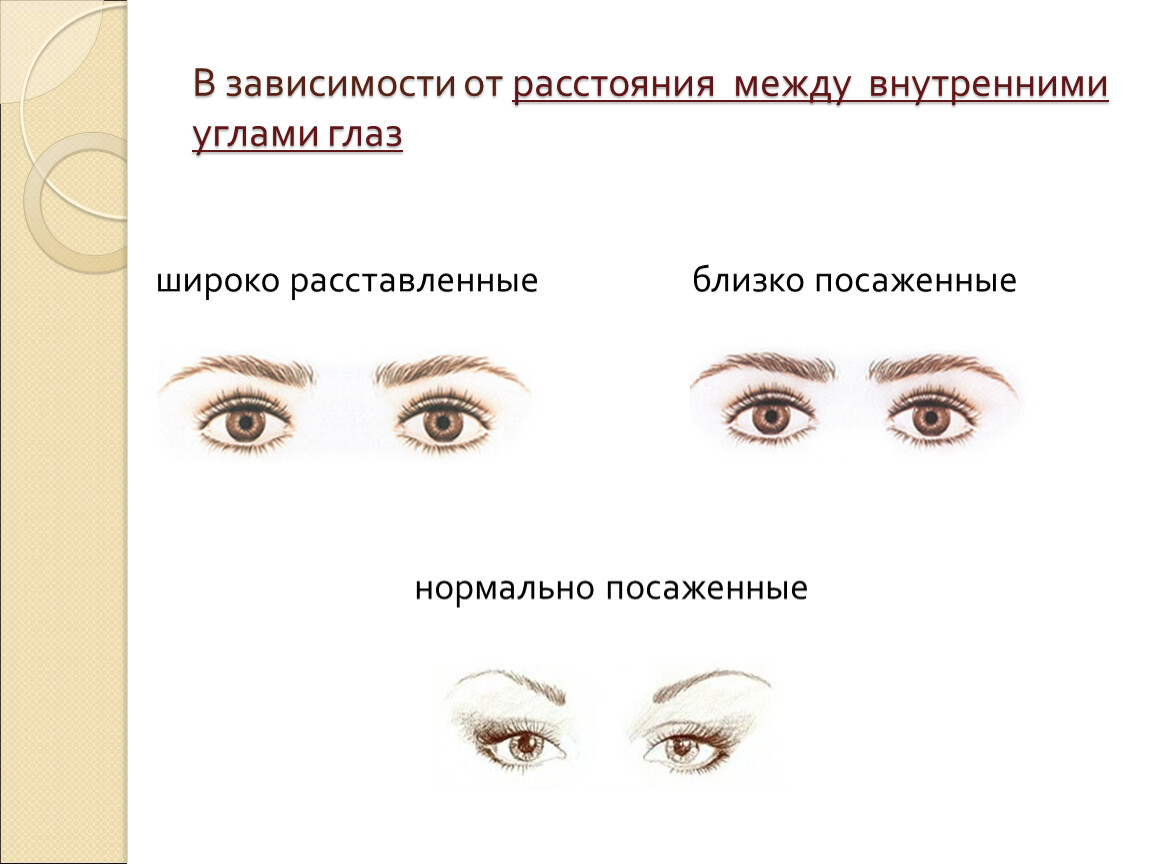 Средний размер глаз. Моделирование формы глаз. Разновидности форм глаз. Узкая форма глаз. Типы расположения глаз.