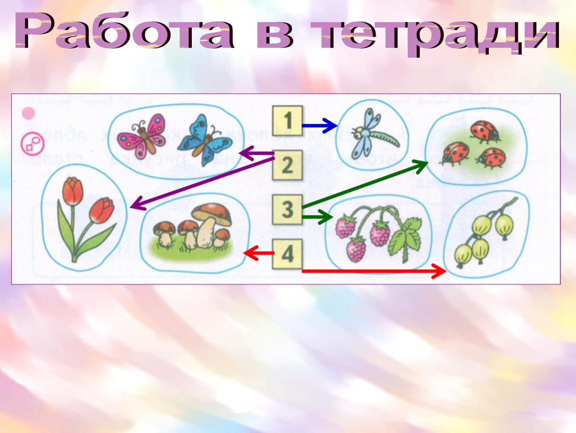 Конспект длиннее короче одинаковые по длине презентация 1 класс школа россии