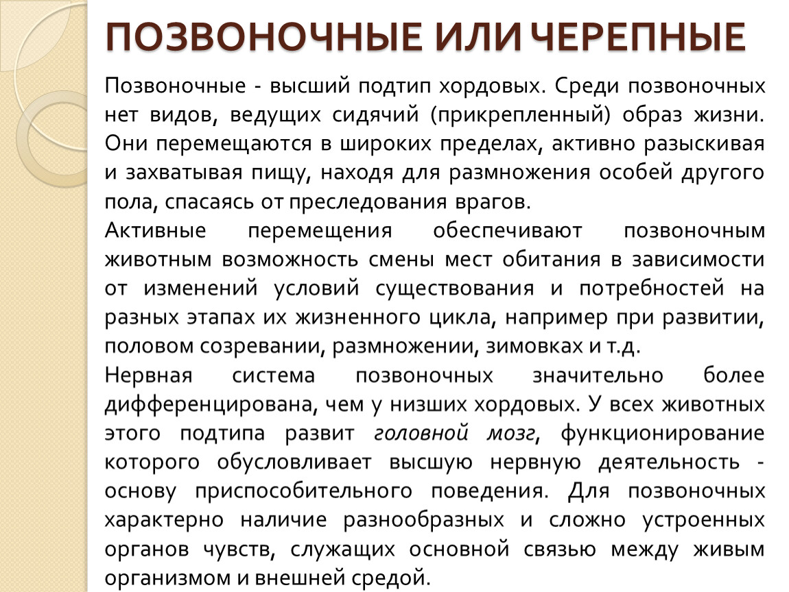 Характеристика низших позвоночных. Подтип Черепные общая характеристика. Характеристика подтипа позвоночные. Характеристика подтипа Черепные. Характеристика черепных животных.