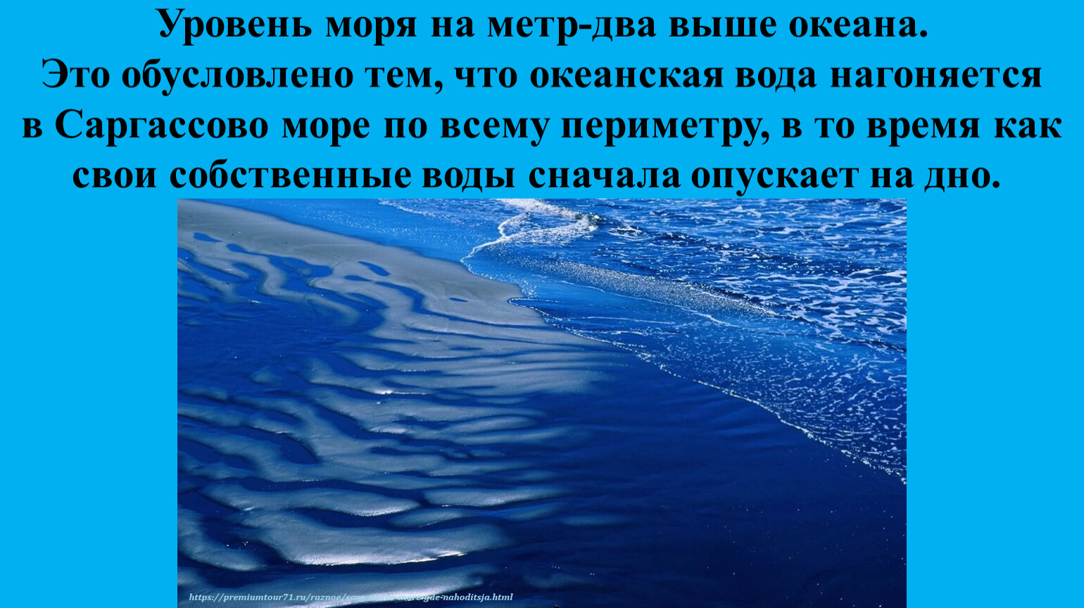 Саргассово море внутреннее или окраинное. Презентация на тему Саргассово море. Как можно легко нарисовать саргассовое море с водлисыми. Саргассово море температура воды таблица. Саргассово море и Байкал из чего состоит их земная кора.