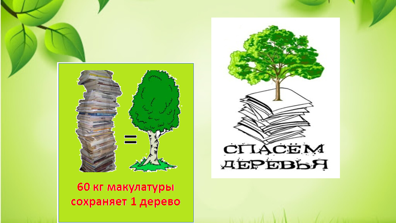 Спаси дерево Сургут