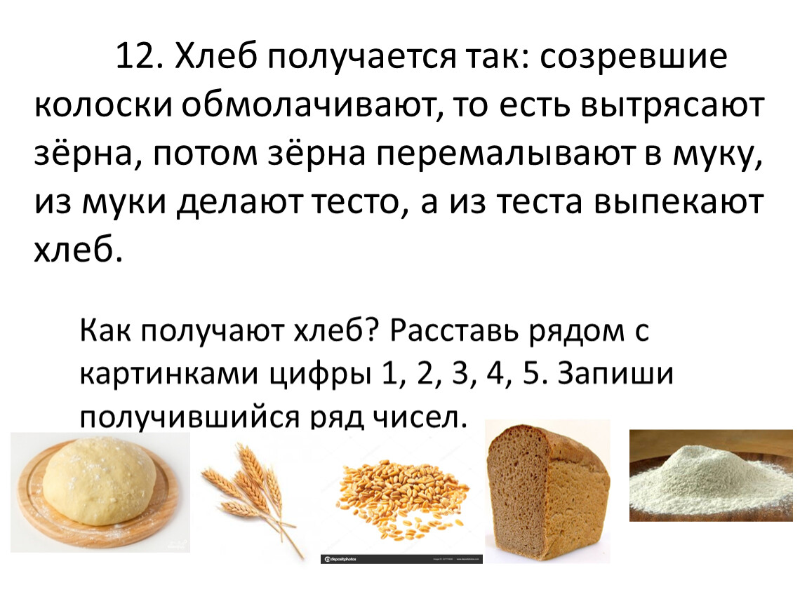 Почему не пропекся хлеб. Как из зерна получается хлеб. Как делается хлеб из зерна. Белый хлеб из какой муки делают. Из чего делают хлеб из какого зерна.