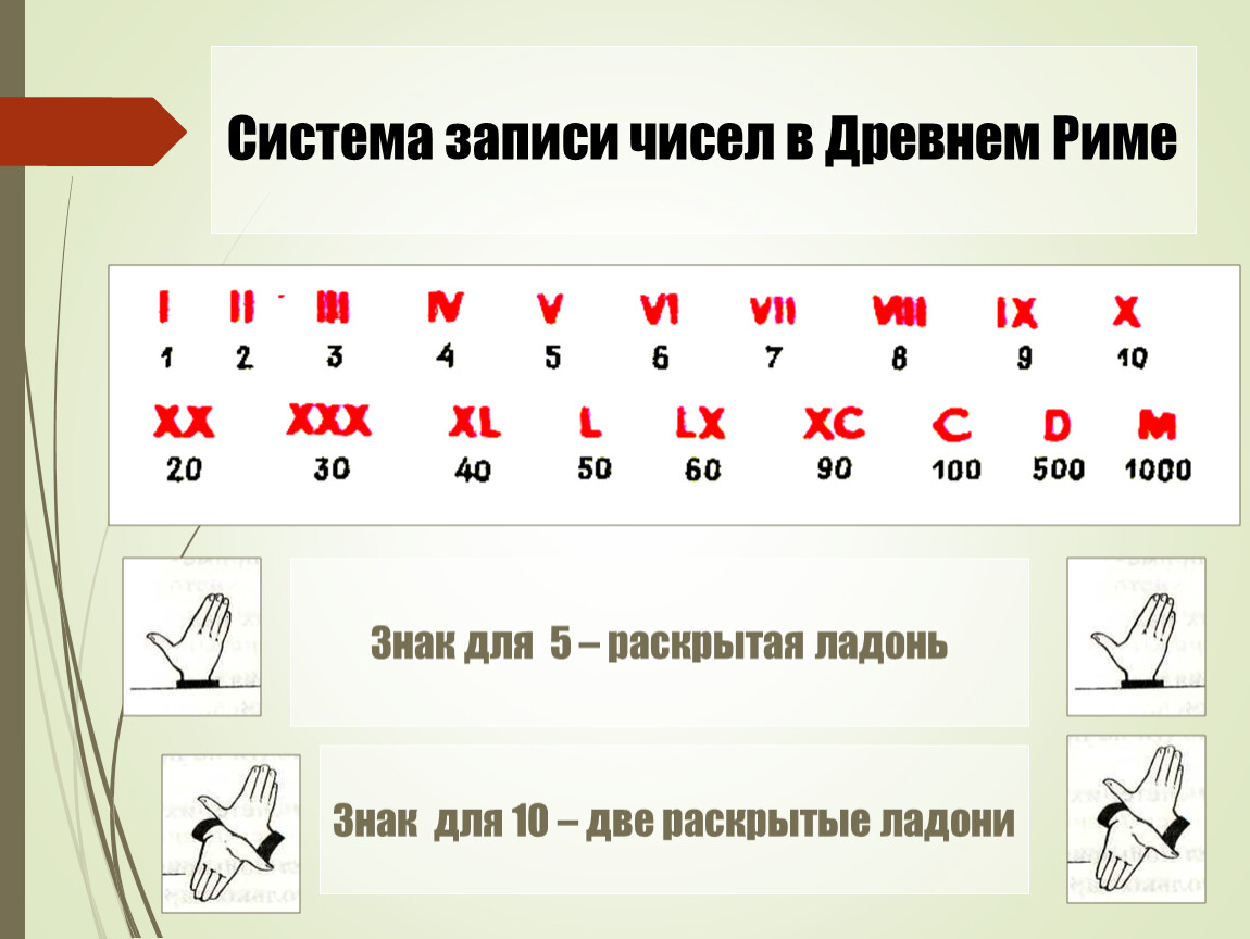 Знаки с помощью которых записываются числа называются. Системы записи чисел. История возникновения чисел древней Японии. История возникновения чисел древнего Китая. История возникновения чисел древней Канады.