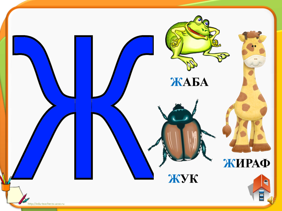 Слово 1 буква ж. Буква ж. Буква ж для детей. Буква ж Жук. Рисунок на букву ж.