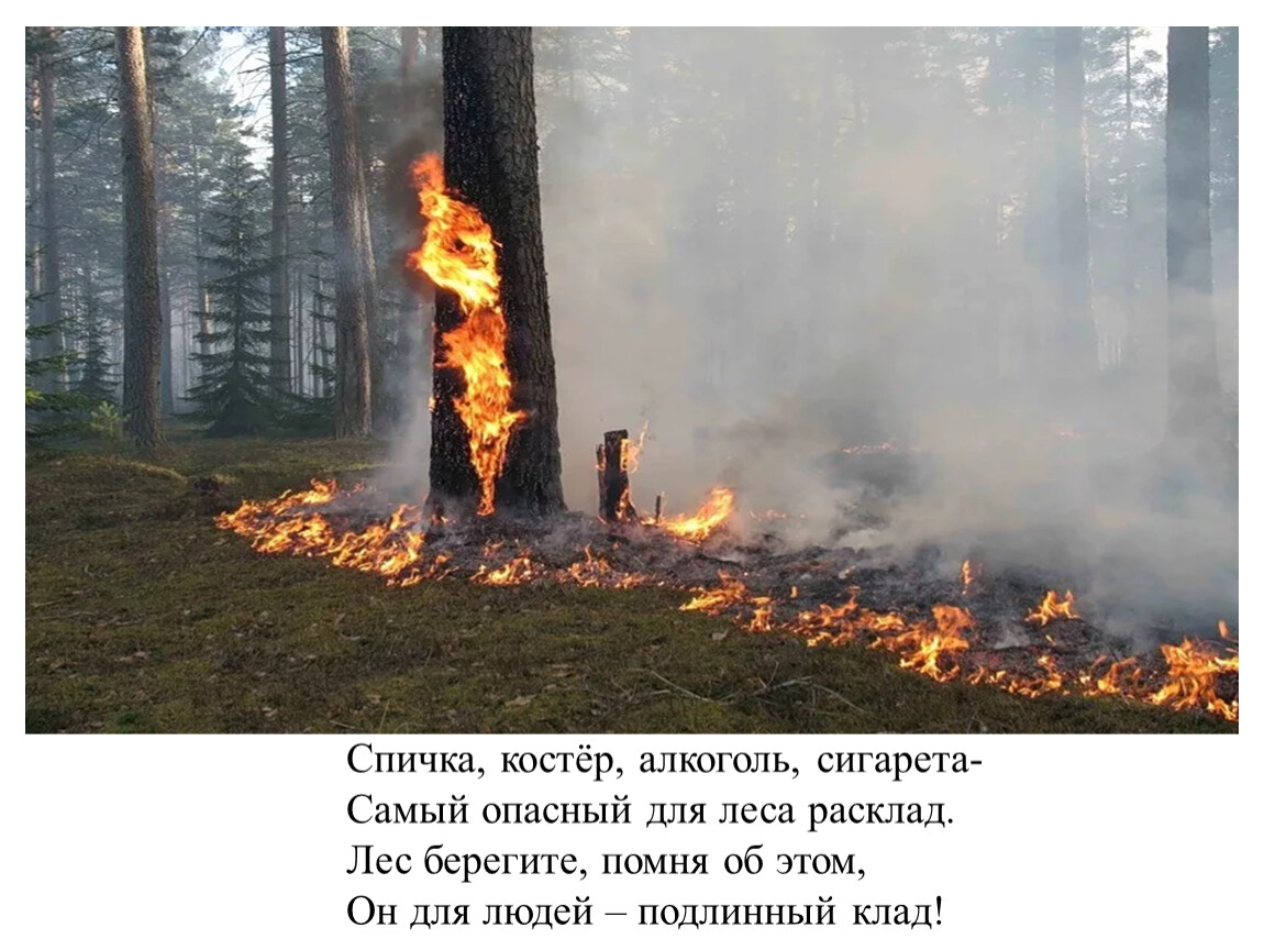 Будь проще костры. Охрана лесов от пожаров. Берегите лес. Берегите природу костры. Береги лес от пожара.