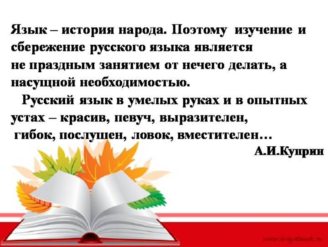 Темы по родному русскому языку. Рассказ о родном языке. Роль родного языка в жизни. История родного языка. Доклад роль русского языка в жизни человека.