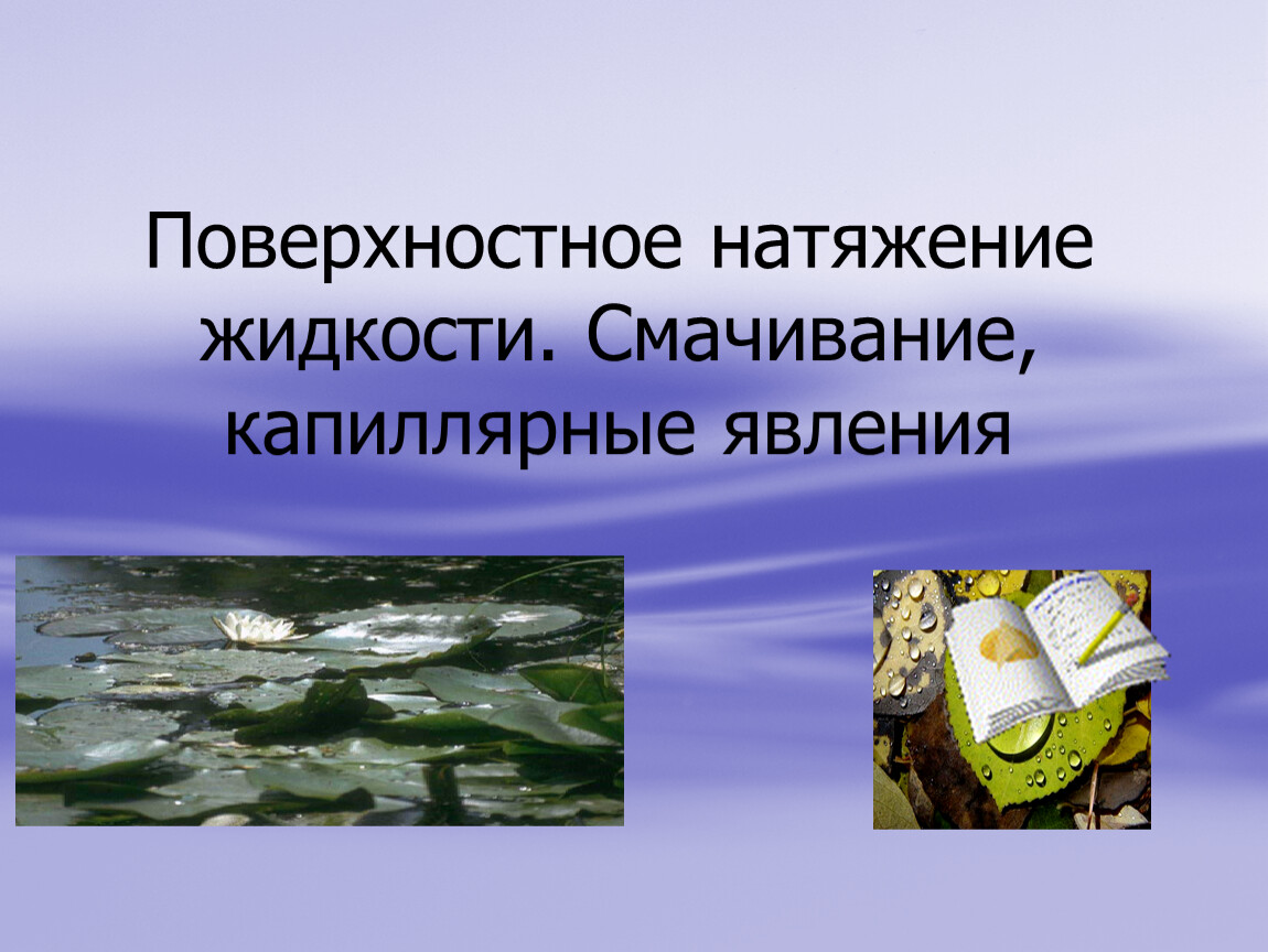 Поверхностное натяжение смачивание. Поверхностное натяжение и смачивание. Явление поверхностного натяжения. Поверхностное натяжение смачивание и капиллярность. Сила поверхностного натяжения жидкости.