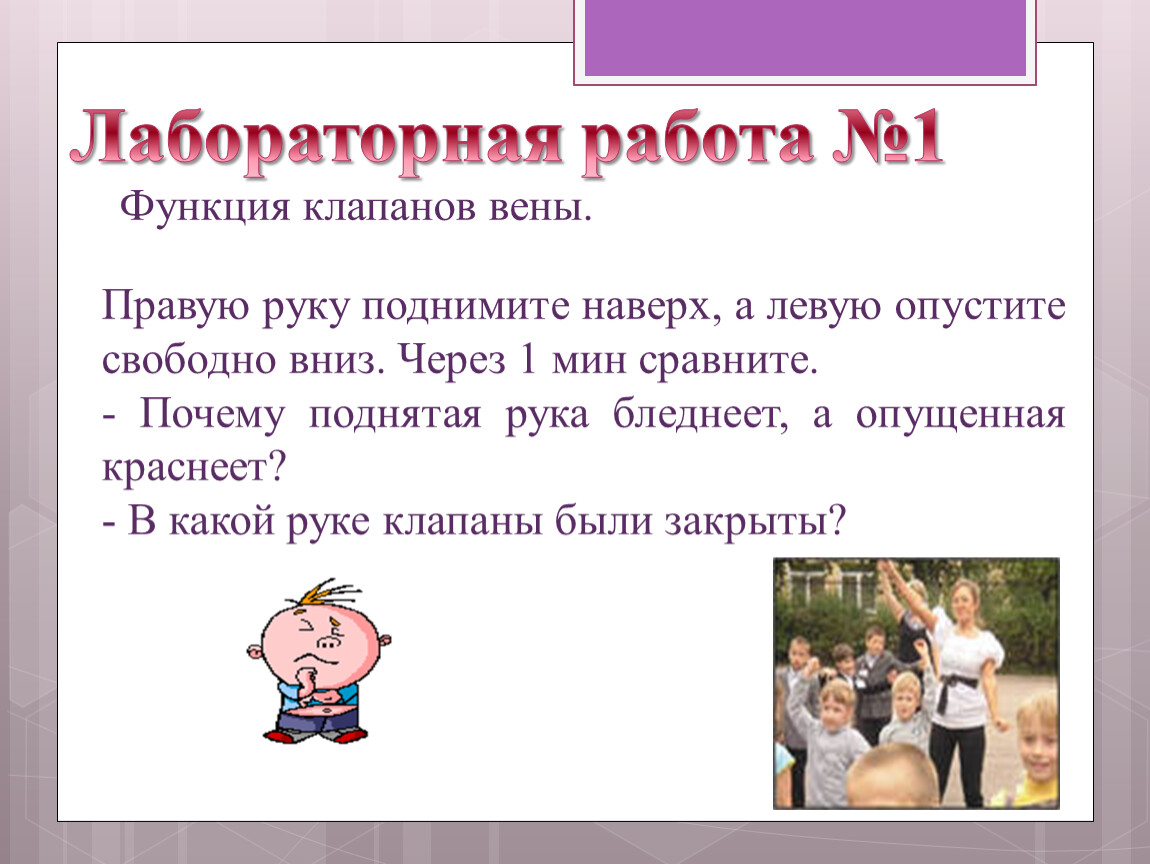 Зачем повышать. Почему поднятая рука побледнела. Функция венозных клапанов вывод. Лабораторная работа функция венозных клапанов. Почему поднятая рука бледнеет.