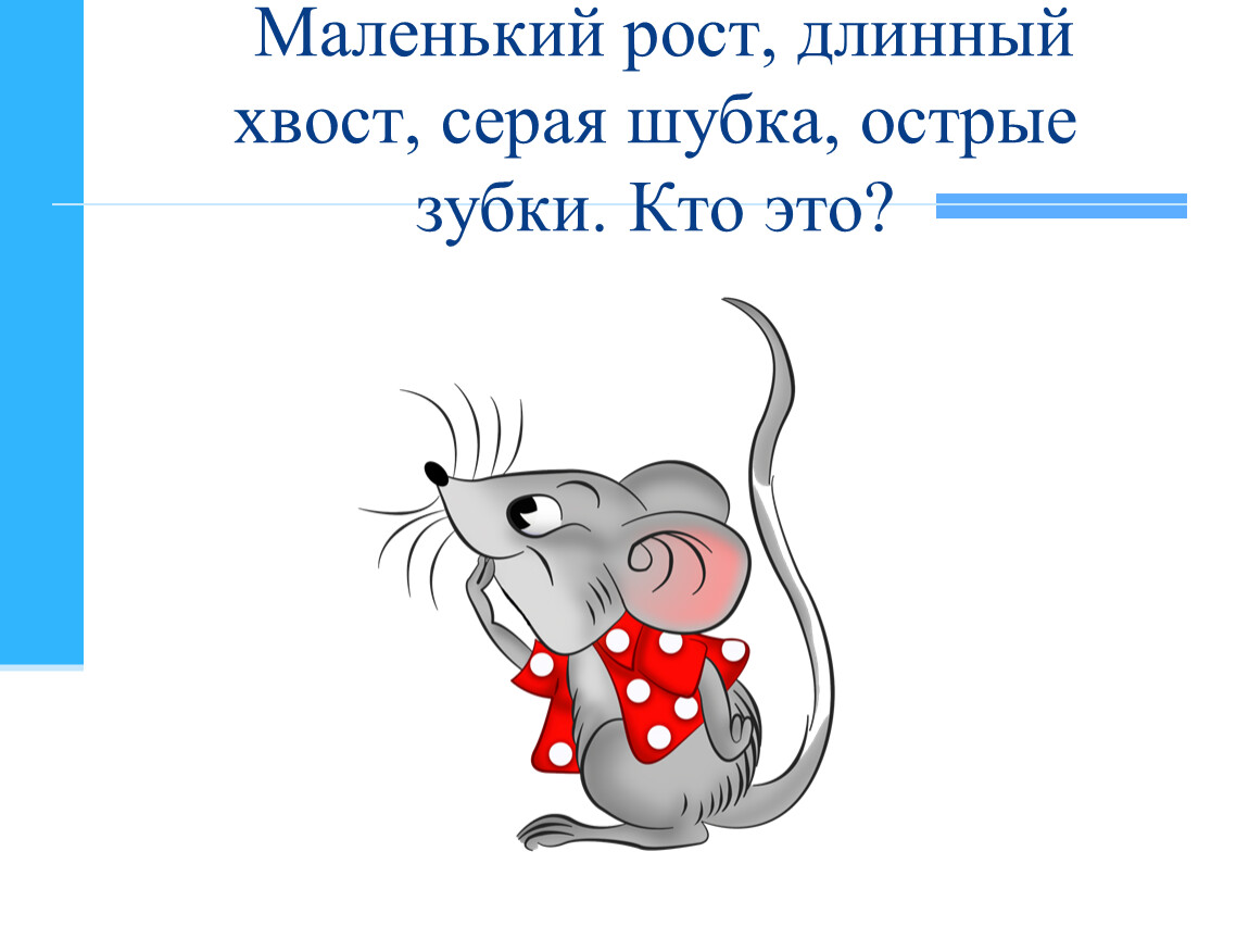 Ответить небольшой. Маленький рост длинный хвост серая шубка острые зубки. Маленький рост длинный хвост серая шубка. Маленький рост длинный хвост серая шубка острые зубки отгадка. Маленький рост длинный хвост серенькая шубка остренькие зубки.